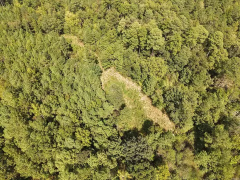 000 Brushy Creek Rd, Rison, AR 71665 photo 16