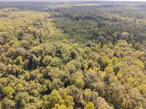 000 Brushy Creek Rd, Rison, AR 71665 photo 9