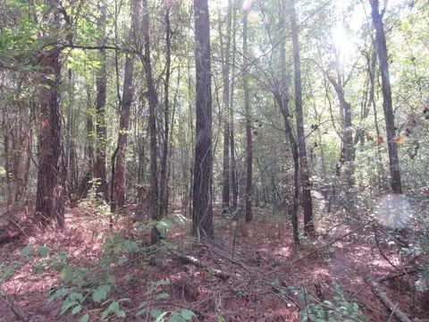 000 Brushy Creek Rd, Rison, AR 71665 photo 34