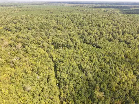 000 Brushy Creek Rd, Rison, AR 71665 photo 15