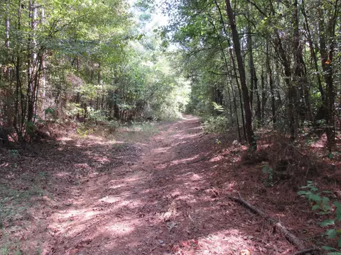 000 Brushy Creek Rd, Rison, AR 71665 photo 35