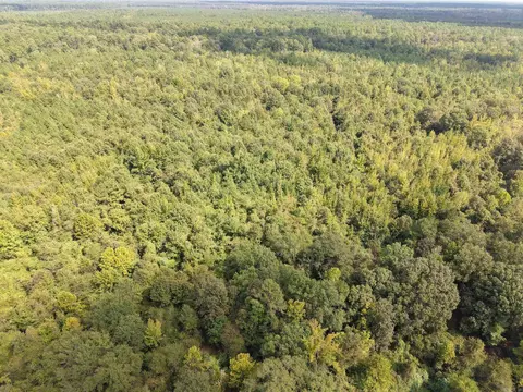 000 Brushy Creek Rd, Rison, AR 71665 photo 10