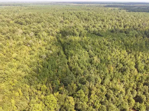 000 Brushy Creek Rd, Rison, AR 71665 photo 14
