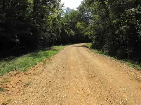 000 Brushy Creek Rd, Rison, AR 71665 photo 27