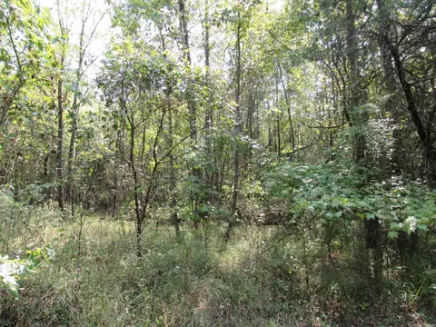 000 Brushy Creek Rd, Rison, AR 71665 photo 39