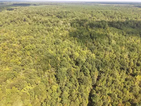 000 Brushy Creek Rd, Rison, AR 71665 photo 13