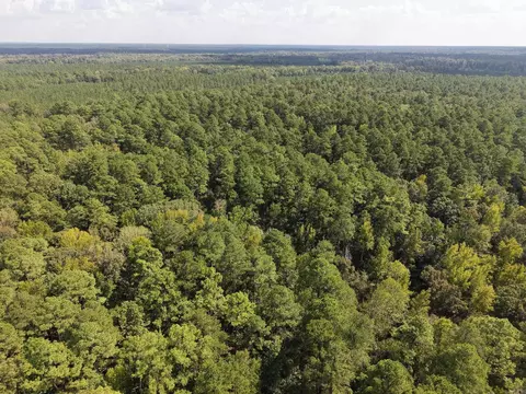 000 Brushy Creek Rd, Rison, AR 71665 photo 21