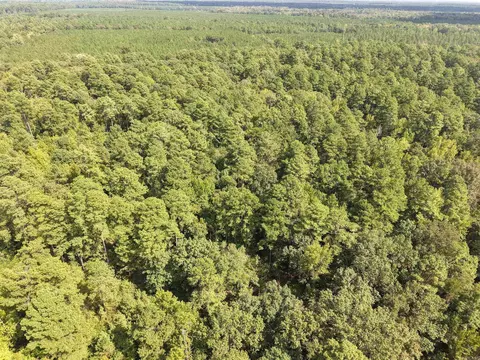 000 Brushy Creek Rd, Rison, AR 71665 photo 18