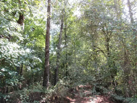 000 Brushy Creek Rd, Rison, AR 71665 photo 28