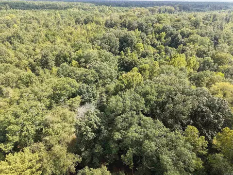 000 Brushy Creek Rd, Rison, AR 71665 photo 6