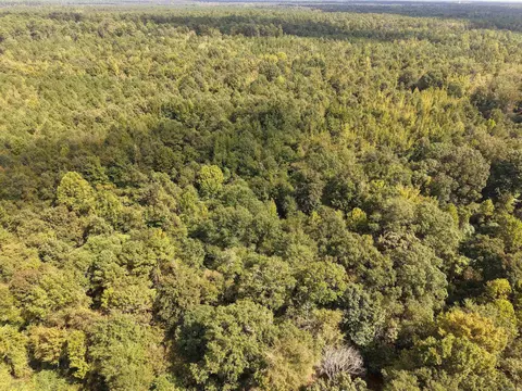000 Brushy Creek Rd, Rison, AR 71665 photo 7