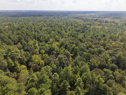 000 Brushy Creek Rd, Rison, AR 71665 photo 22