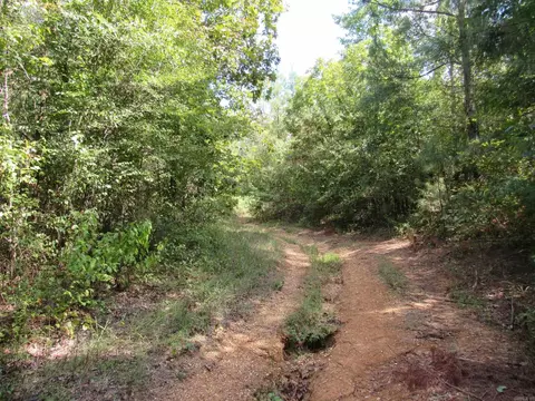 000 Brushy Creek Rd, Rison, AR 71665 photo 37