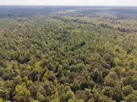 000 Brushy Creek Rd, Rison, AR 71665 photo 24
