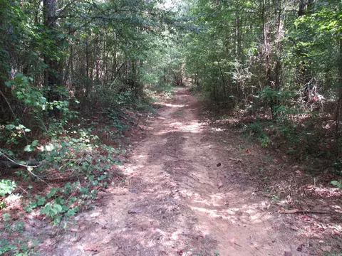 000 Brushy Creek Rd, Rison, AR 71665 photo 33