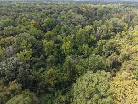 000 Brushy Creek Rd, Rison, AR 71665 photo 4