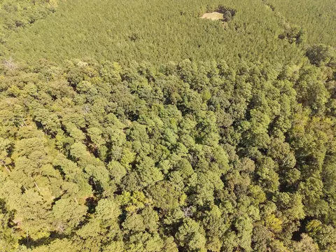 000 Brushy Creek Rd, Rison, AR 71665 photo 25