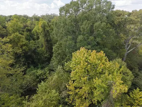 000 Brushy Creek Rd, Rison, AR 71665 photo 3