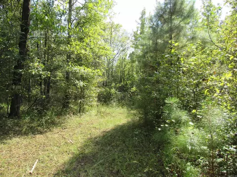 000 Brushy Creek Rd, Rison, AR 71665 photo 38