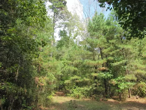 000 Brushy Creek Rd, Rison, AR 71665 photo 41