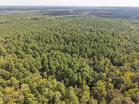 000 Brushy Creek Rd, Rison, AR 71665 photo 23