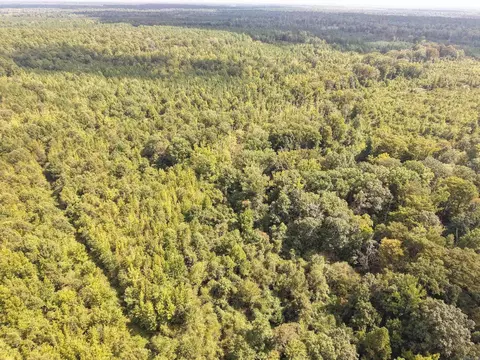 000 Brushy Creek Rd, Rison, AR 71665 photo 12
