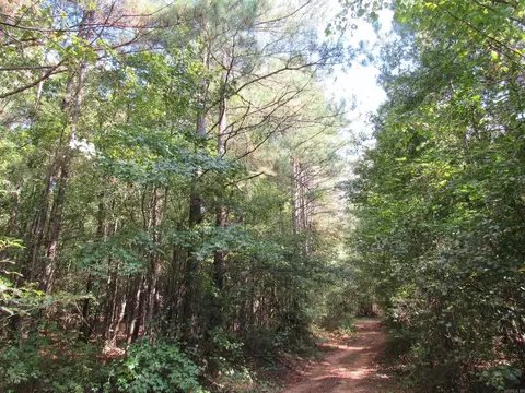 000 Brushy Creek Rd, Rison, AR 71665 photo 32