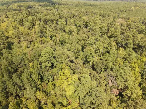 000 Brushy Creek Rd, Rison, AR 71665 photo 19