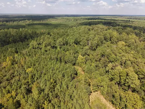 000 Brushy Creek Rd, Rison, AR 71665 photo 17