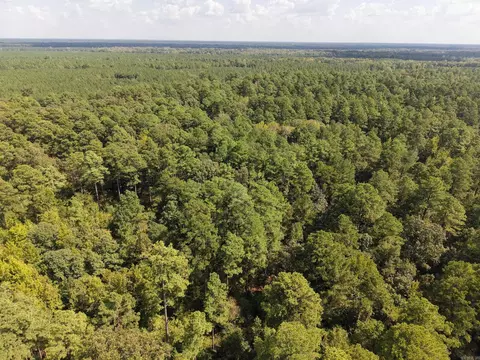 000 Brushy Creek Rd, Rison, AR 71665 photo 20