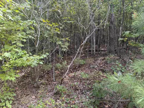 000 Rex Rd, Alread, AR 72031 photo 3