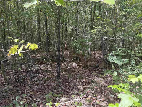 000 Rex Rd, Alread, AR 72031 photo 4