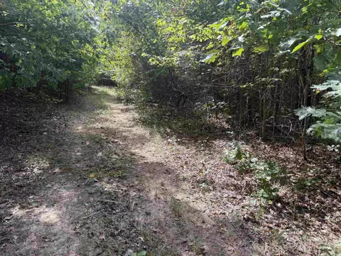 000 Rex Rd, Alread, AR 72031 photo 5