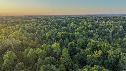 Sfc 700, Forrest City, AR 72335