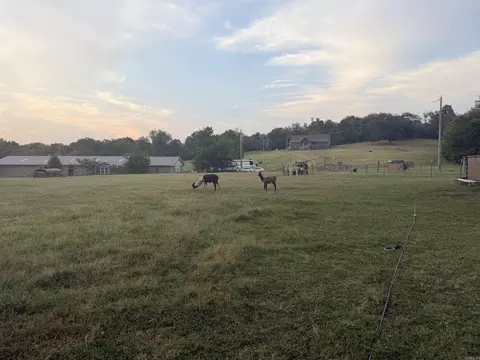 226 Feemster Dr, Marshall, AR 72650 photo 3