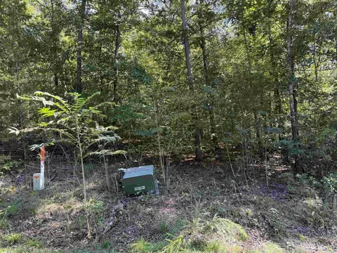 00 Hwy 87, Mountain View, AR 72560 photo 6
