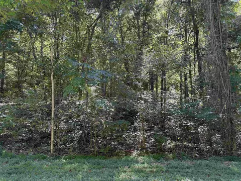 00 Hwy 87, Mountain View, AR 72560 photo 8