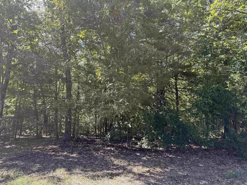 00 Hwy 87, Mountain View, AR 72560 photo 3