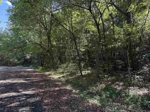 00 Hwy 87, Mountain View, AR 72560 photo 23