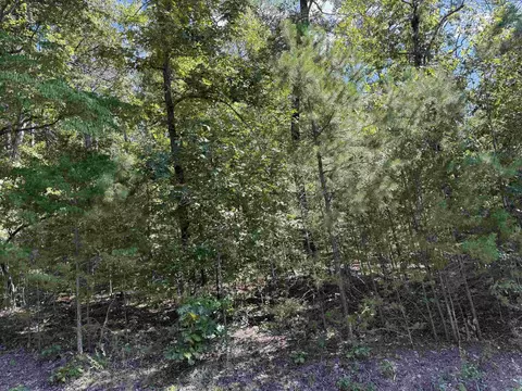 00 Hwy 87, Mountain View, AR 72560 photo 5