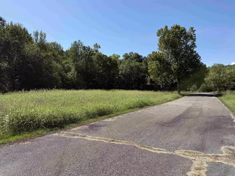00 Hwy 87, Mountain View, AR 72560 photo 11