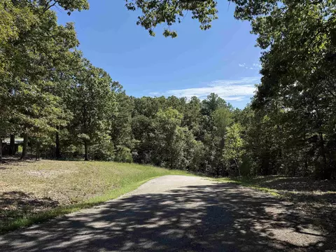 00 Hwy 87, Mountain View, AR 72560 photo 4