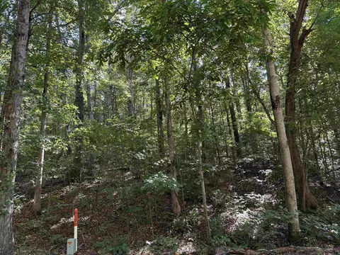 00 Hwy 87, Mountain View, AR 72560 photo 7