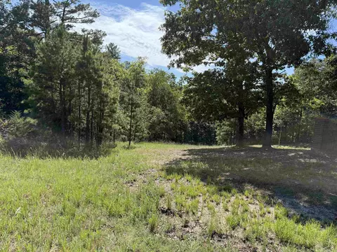 00 Hwy 87, Mountain View, AR 72560 photo 2