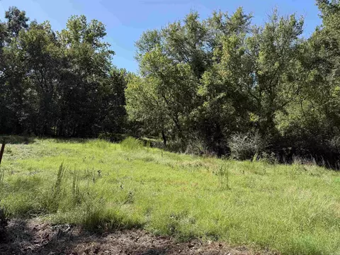00 Hwy 87, Mountain View, AR 72560 photo 16