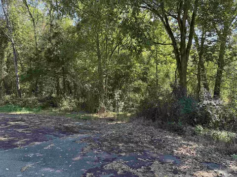 00 Hwy 87, Mountain View, AR 72560 photo 18