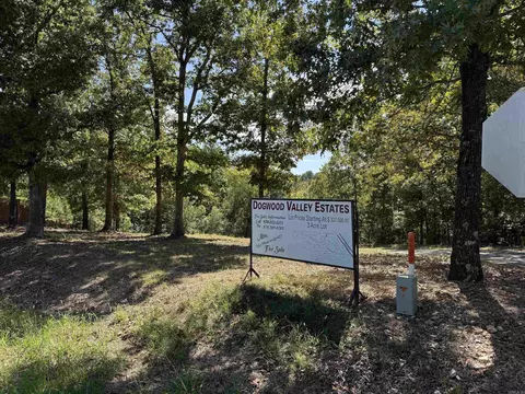 00 Hwy 87, Mountain View, AR 72560 photo 27