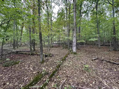 000 Nc 167, Jasper, AR 72641 photo 24