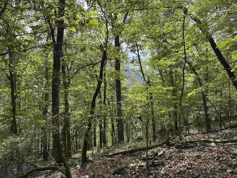 000 Nc 167, Jasper, AR 72641 photo 11