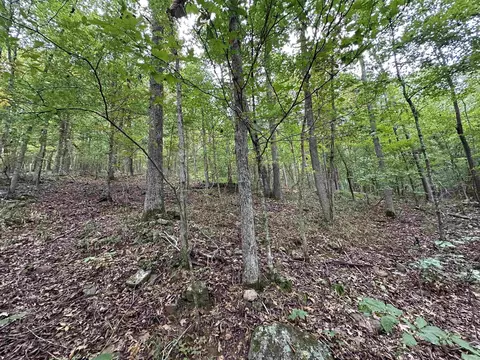 000 Nc 167, Jasper, AR 72641 photo 15